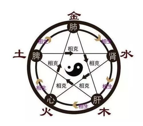 五行属水9画寓意好的字（九画五行属水寓意最好的字）