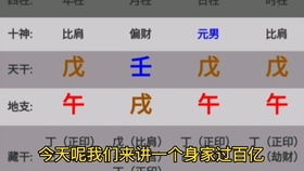 明星八字命理分析100例（明星八字豆瓣）