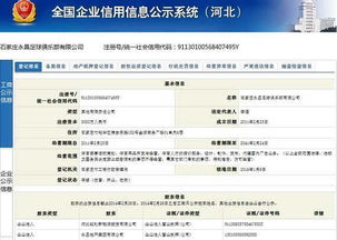 企业信息查询系统官网（企业信息查询系统官网全国）