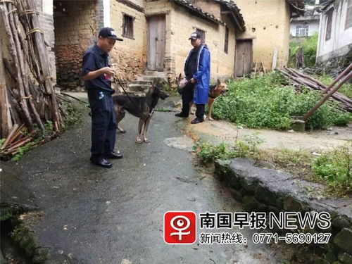 湖南两岁走失女童被警犬在山上找到，奇迹背后的故事