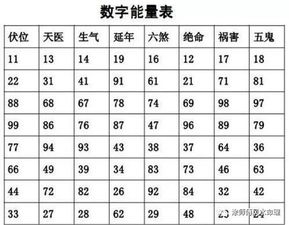 数字能量口诀100条（量能口诀大全）