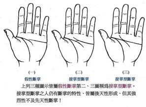 通贯手男人的命运（两手通贯掌的男人命运）