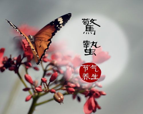 惊蛰节气意味着什么（惊蛰节气意味着什么小鸡）