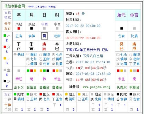 时辰八字查询五行属性（时辰五行属性查询表每日）