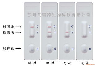 测试纸一般多少天能测出来（测试纸一般多少天能测出来图片）