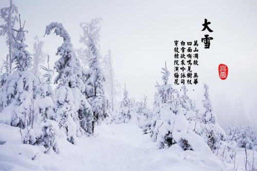 大雪节气的特点（大雪节气的特点和风俗幼儿园）