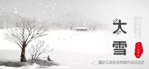 大雪节气的特点（大雪节气的特点和风俗幼儿园）